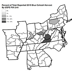 2015 Blue Cohosh